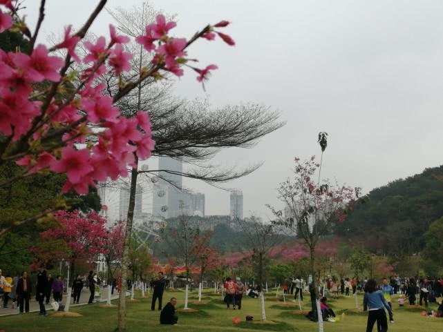 南宁十大免费景点2025年排行榜前十名榜单出炉 南宁十大免费景点2025年排行榜前十名榜单出炉