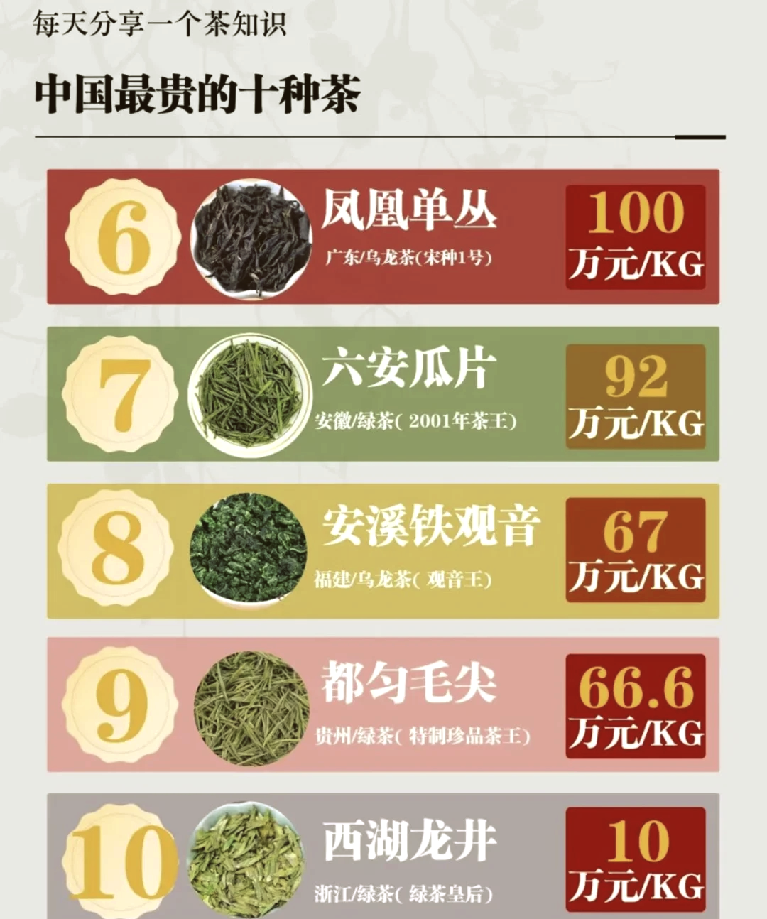 兰花十大品种2025年排行榜前十名榜单出炉 兰花十大品种2025年排行榜前十名榜单出炉