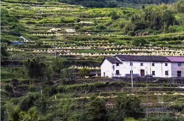 2026年苏州农业职业技术学院招生章程 2026年苏州农业职业技术学院招生章程