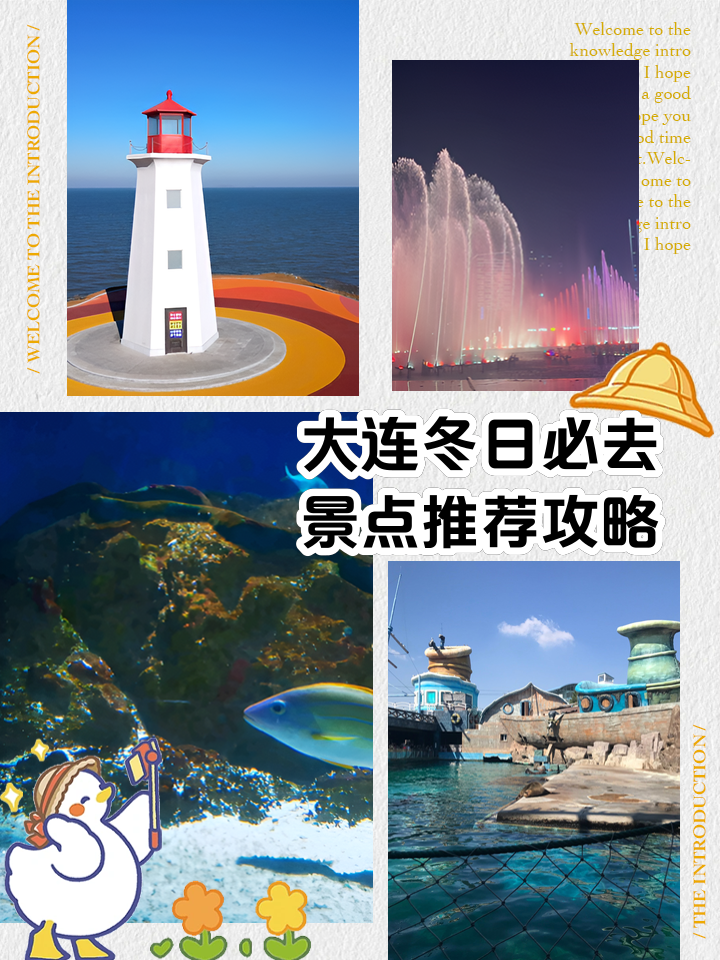 大连十大冬季旅游好去处2026年最新热度口碑双榜对比 大连十大冬季旅游好去处2026年最新热度口碑双榜对比