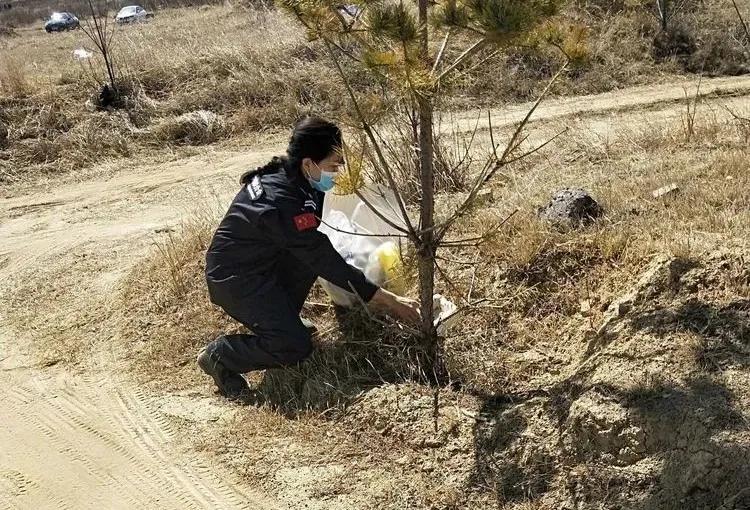内蒙古清明节旅游的地方2026年最新热度口碑双榜对比