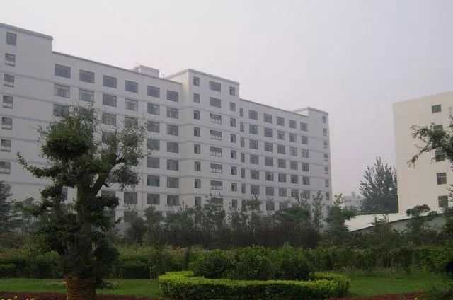 2026年山东信息职业技术学院招生章程