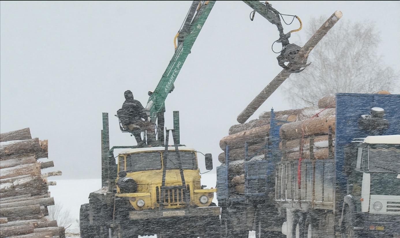 俄罗斯十大总理2026年最新热度口碑双榜对比