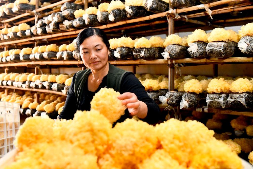 2026年黑龙江工程学院招生章程