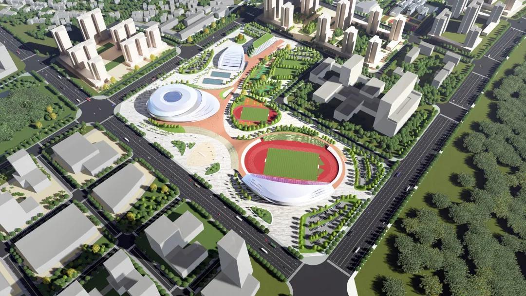 中国十大最帅跳水男运动员2026年最新热度口碑双榜对比 中国十大最帅跳水男运动员2026年最新热度口碑双榜对比