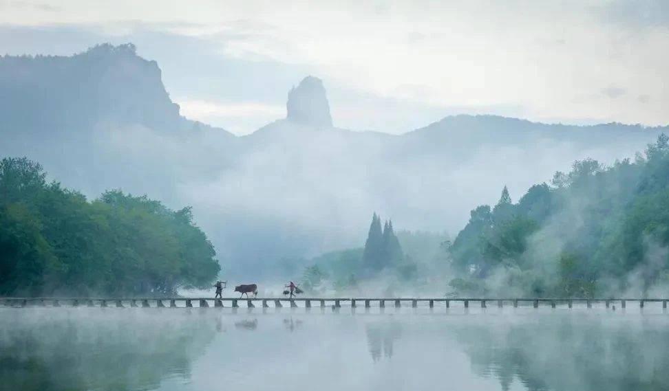 大陆四大天后2026年本年度热度口碑双榜对比