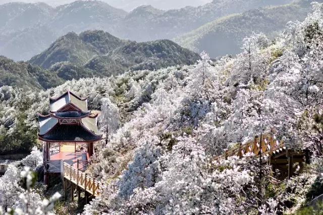 泉州市南安市十大著名旅游景点2026年最新热度口碑双榜对比