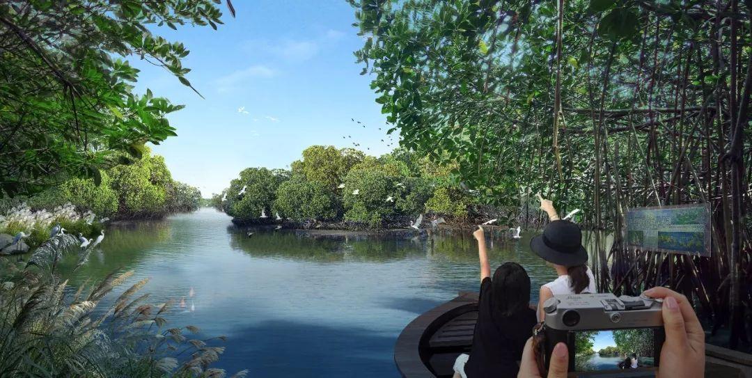 十大最具潜力的湿地公园2026年最新热度口碑双榜对比 十大最具潜力的湿地公园2026年最新热度口碑双榜对比