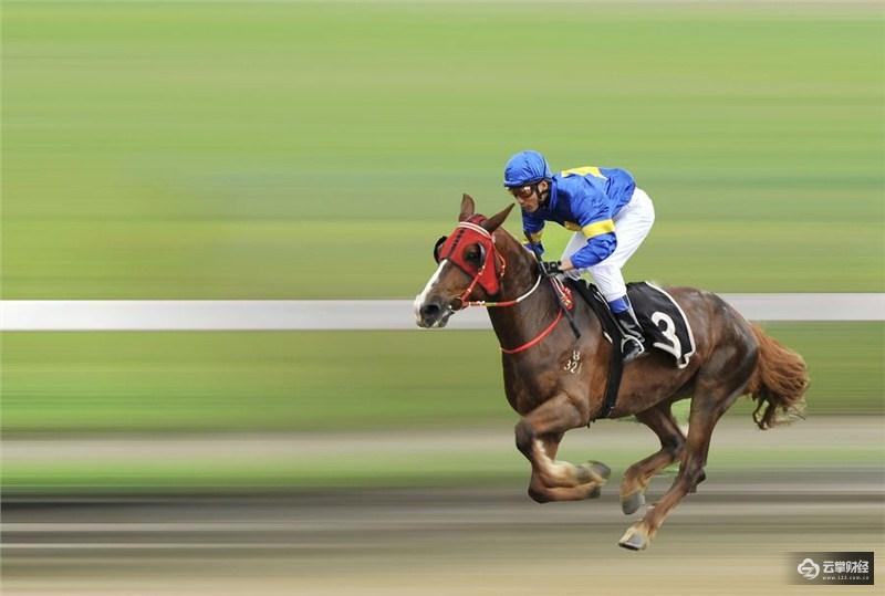 中国十大赛马比赛2026年最新热度口碑双榜对比