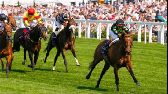 中国十大赛马比赛2026年最新热度口碑双榜对比