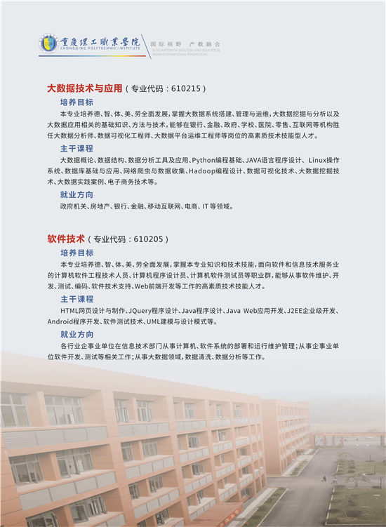 2026年重庆理工职业学院招生章程