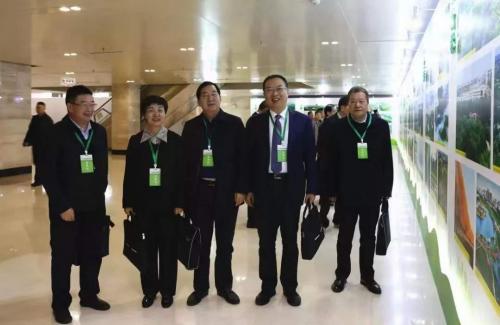 十大最耐干旱的绿化树2026年最新热度口碑双榜对比