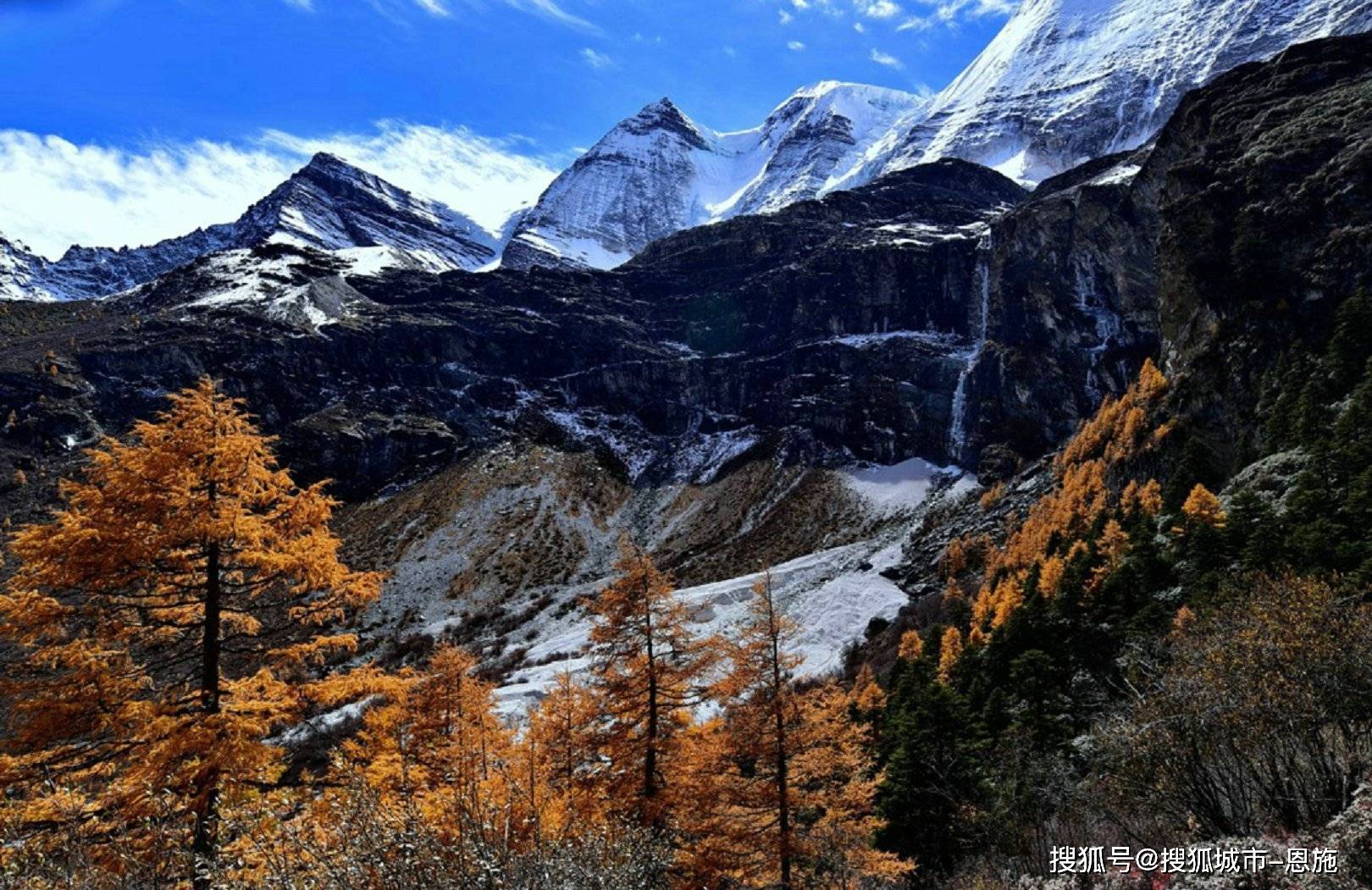 四川稻城亚丁十大特产2026年最新热度口碑双榜对比