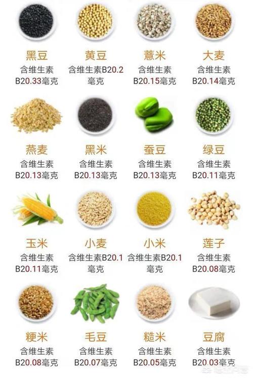 十大富含维生素b2的食物2026年最新热度口碑双榜对比 十大富含维生素b2的食物2026年最新热度口碑双榜对比