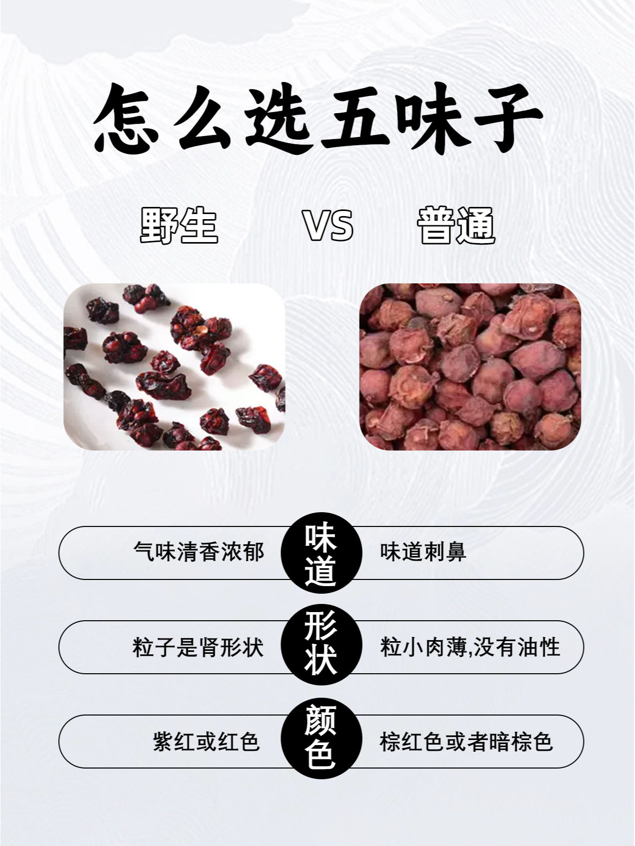 十大五味子产地2026年最新热度口碑双榜对比 十大五味子产地2026年最新热度口碑双榜对比