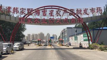 天津十大批发市场2026年最新热度口碑双榜对比 天津十大批发市场2026年最新热度口碑双榜对比