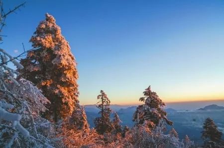 四川十大冬季旅游好去处2026年最新热度口碑双榜对比 四川十大冬季旅游好去处2026年最新热度口碑双榜对比