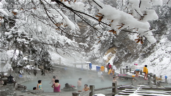 四川十大冬季旅游好去处2026年最新热度口碑双榜对比