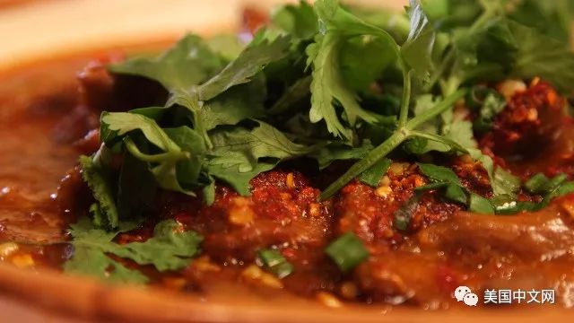 十大好吃的川菜家常菜2026年最新热度口碑双榜对比 十大好吃的川菜家常菜2026年最新热度口碑双榜对比