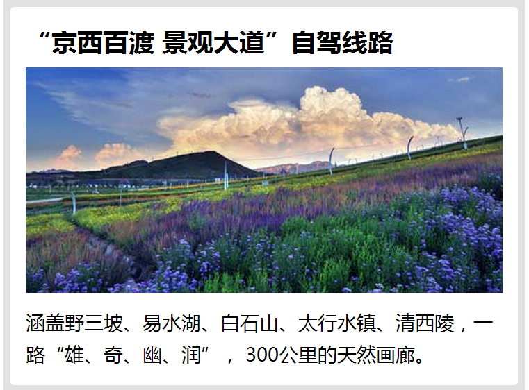 保定十大清明旅游景点2026年本年度热度口碑双榜对比