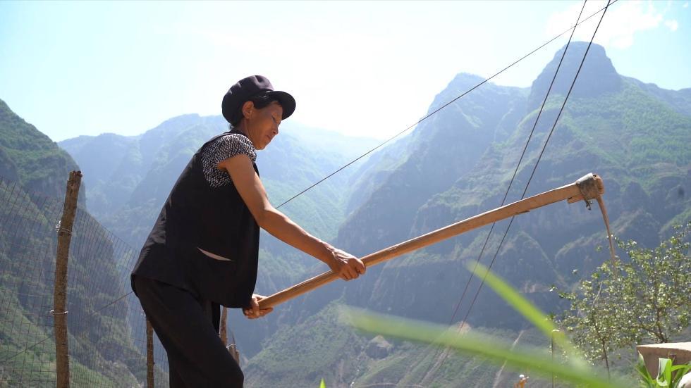 新疆十大企业2026年本年度热度口碑双榜对比