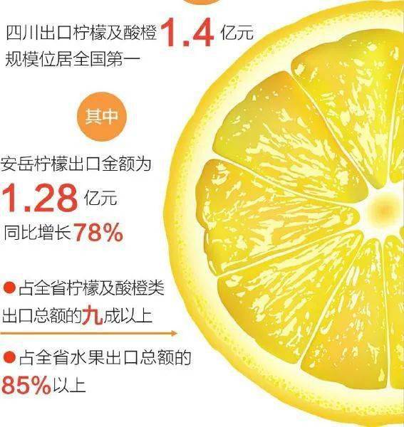 四川十大柚子2026年本年度热度口碑双榜对比 四川十大柚子2026年本年度热度口碑双榜对比