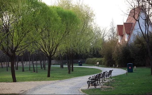 沈阳最美的十大公园2026年本年度热度口碑双榜对比 沈阳最美的十大公园2026年本年度热度口碑双榜对比