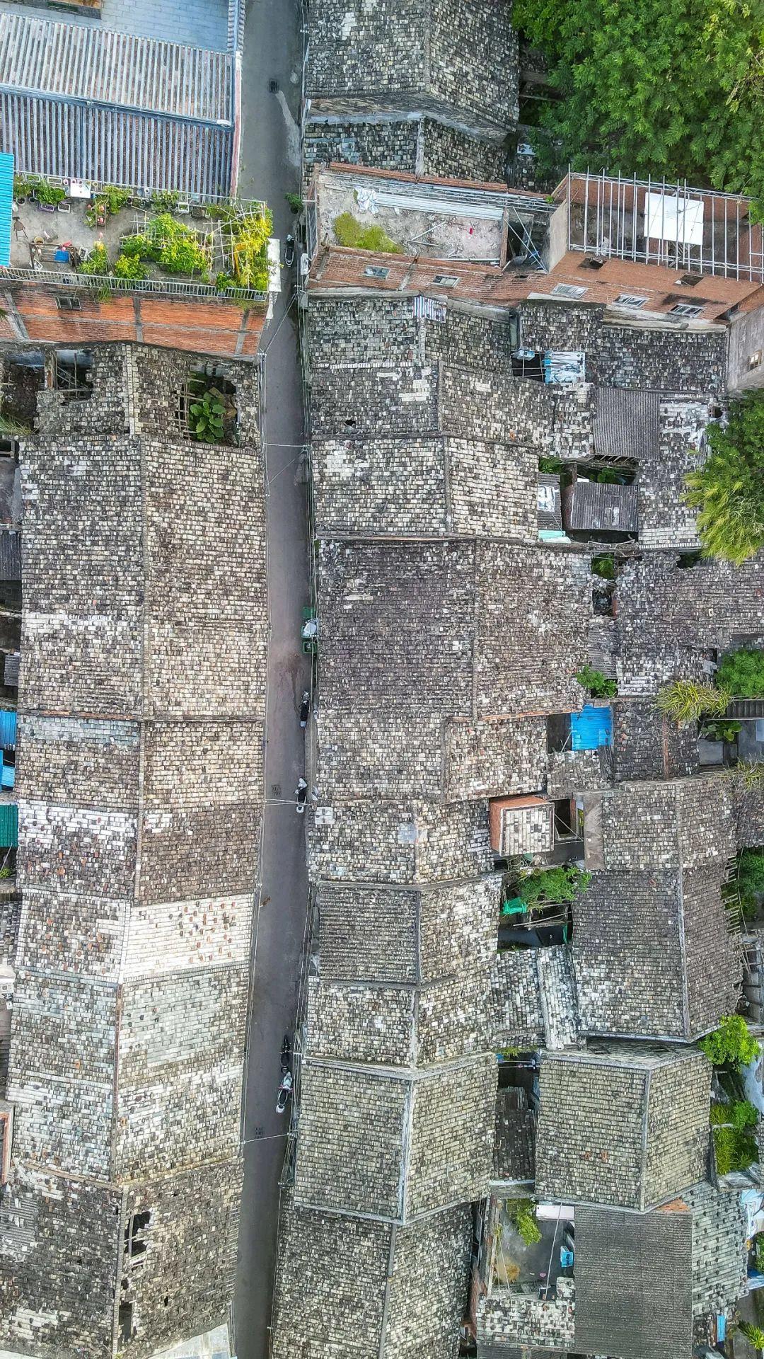 2026年苏州城市学院招生章程