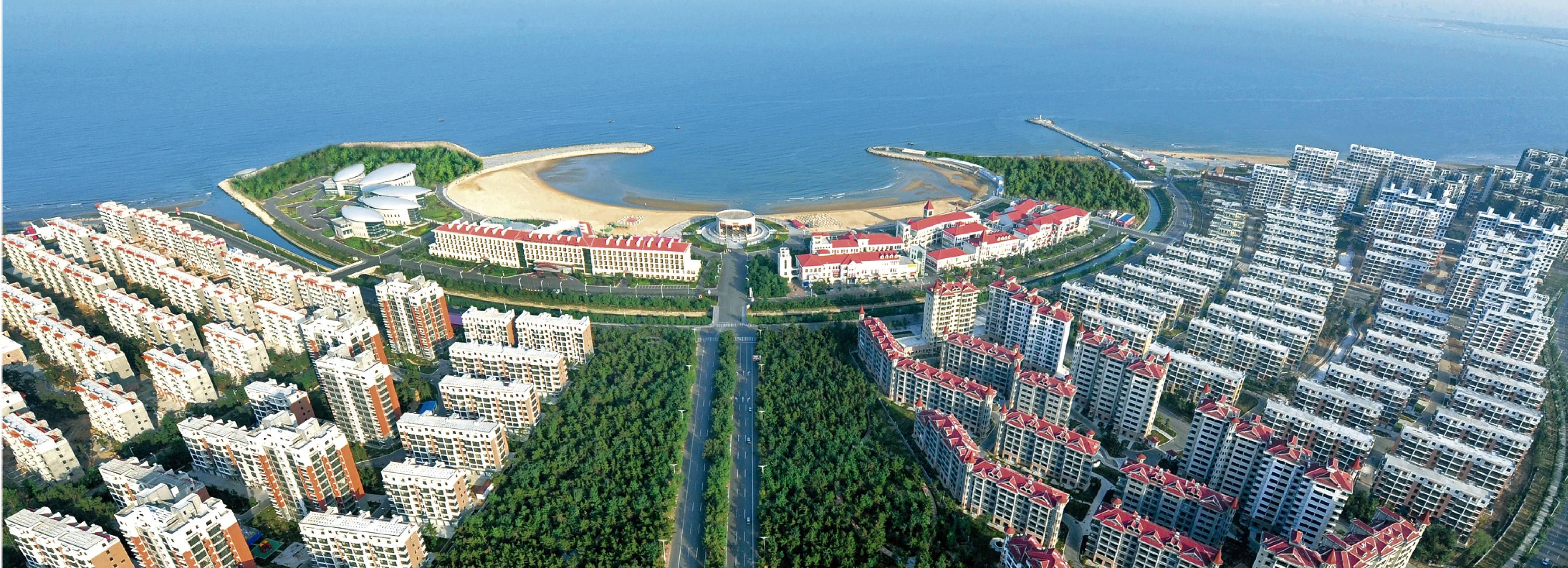 世界十大最美的树2026年本年度热度口碑双榜对比