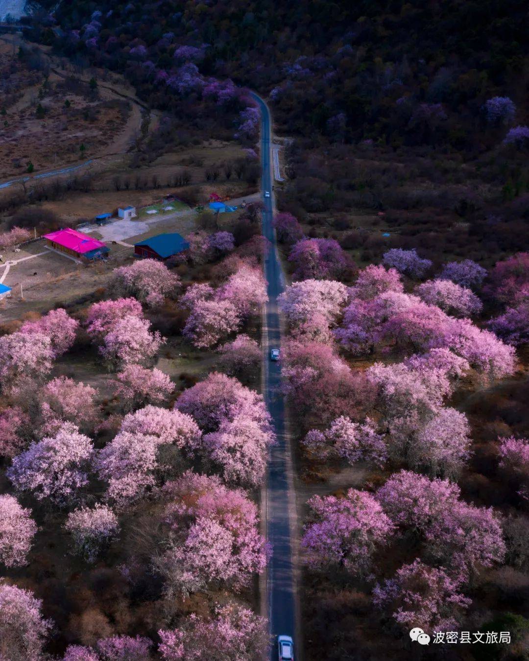 佛山十大赏花胜地2026年本年度热度口碑双榜对比 佛山十大赏花胜地2026年本年度热度口碑双榜对比