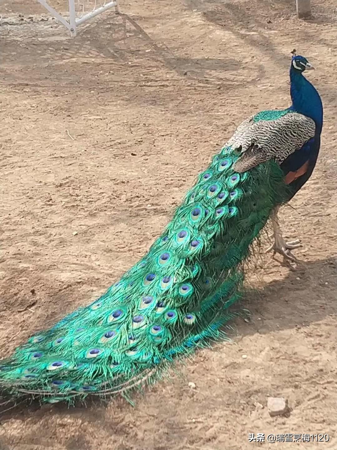 沈阳十大适合野餐的好地方2026年本年度热度口碑双榜对比