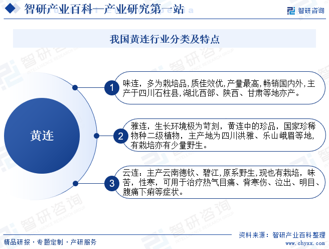 国内十大黄连产地2026年本年度热度口碑双榜对比 国内十大黄连产地2026年本年度热度口碑双榜对比