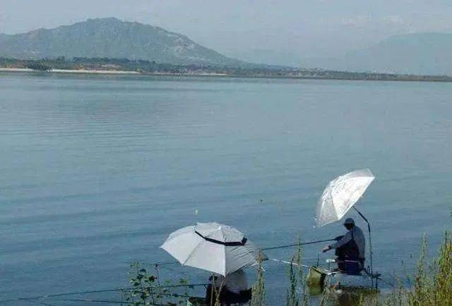 重庆十大钓鱼好地方2026年本年度热度口碑双榜对比 重庆十大钓鱼好地方2026年本年度热度口碑双榜对比