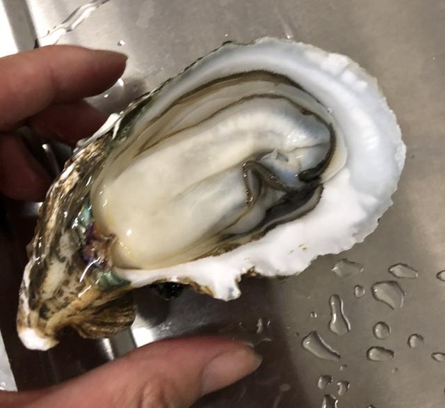 十大生蚝的做法2026年本年度热度口碑双榜对比 十大生蚝的做法2026年本年度热度口碑双榜对比