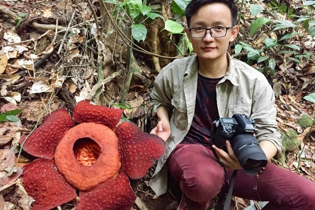 河南十大特色水果2026年本年度热度口碑双榜对比