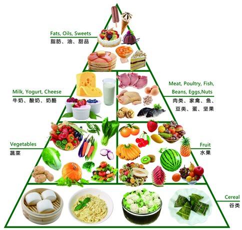 十大粗纤维食物2026年本年度热度口碑双榜对比