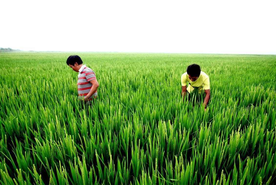 科尔沁左翼后旗著名景点2026年本年度热度口碑双榜对比