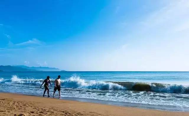 三亚热带海滨景区十大特产2026年本年度热度口碑双榜对比