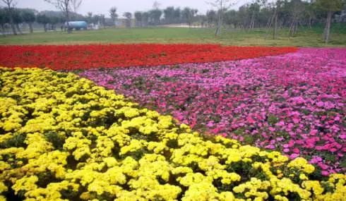 郑州十大赏花胜地2026年本年度热度口碑双榜对比