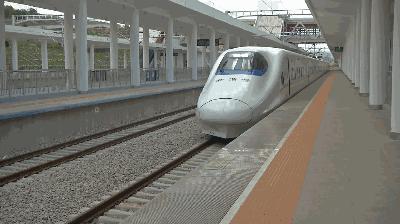 2026年大理护理职业学院招生章程 2026年大理护理职业学院招生章程