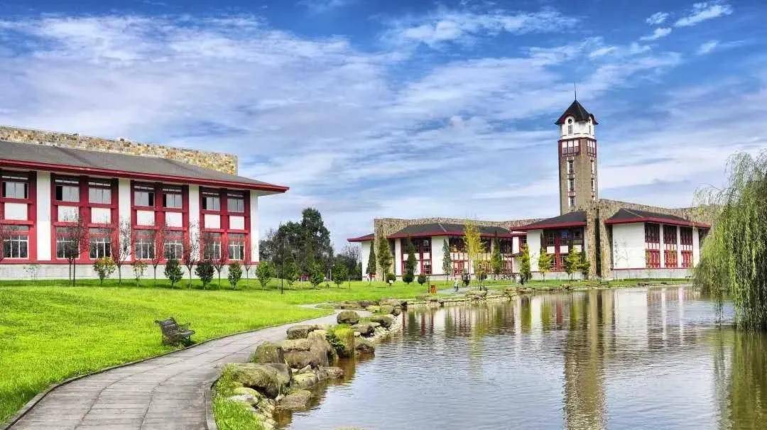 2026年成都东软学院招生章程