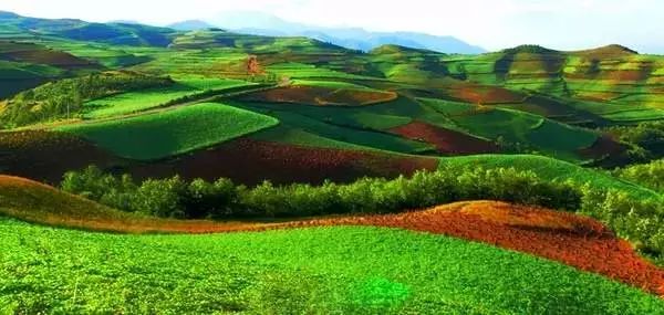 密云区自然景观前十名2026年本年度热度口碑双榜对比 密云区自然景观前十名2026年本年度热度口碑双榜对比