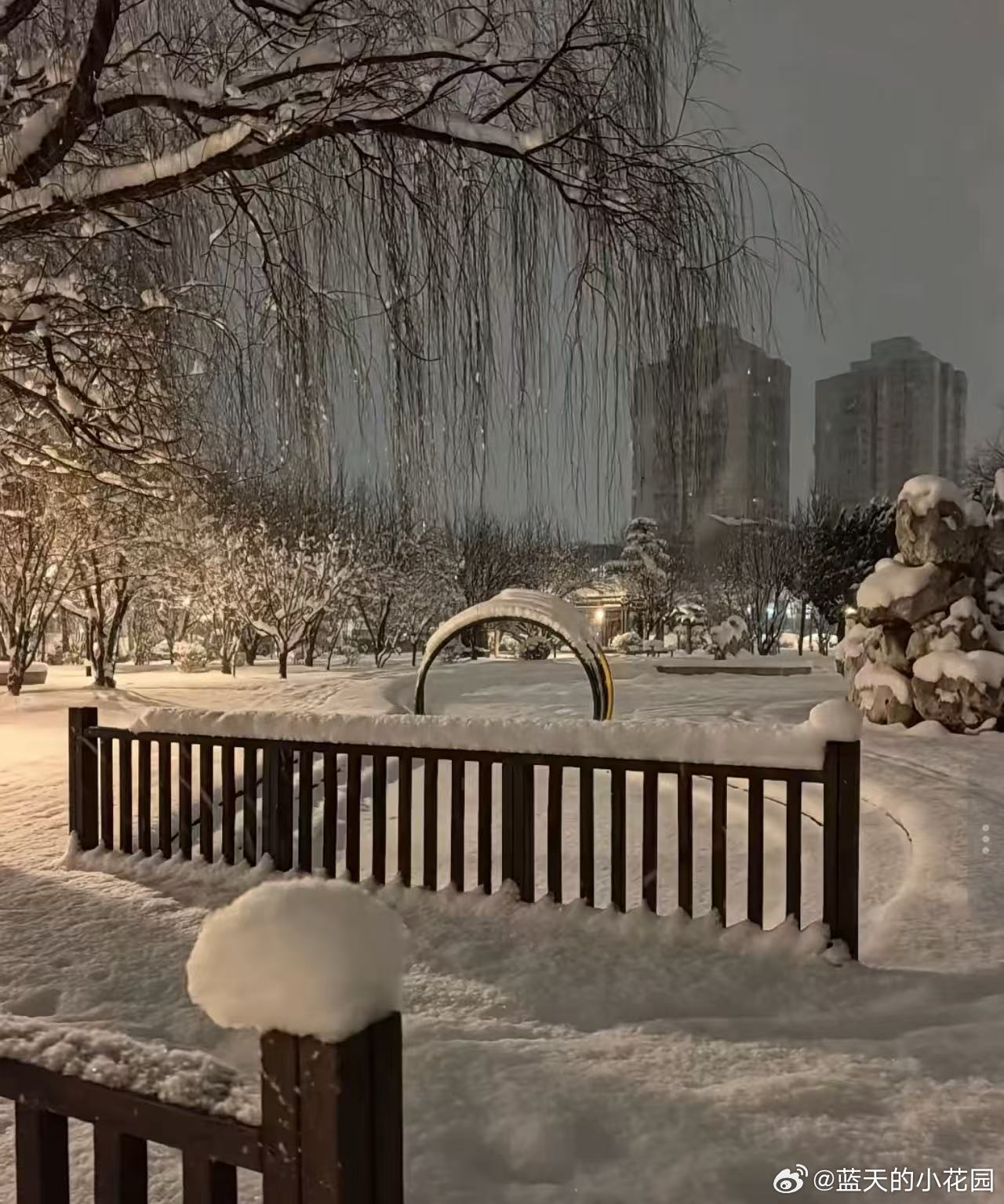 天津十大最适合看雪的地方2026年本年度热度口碑双榜对比