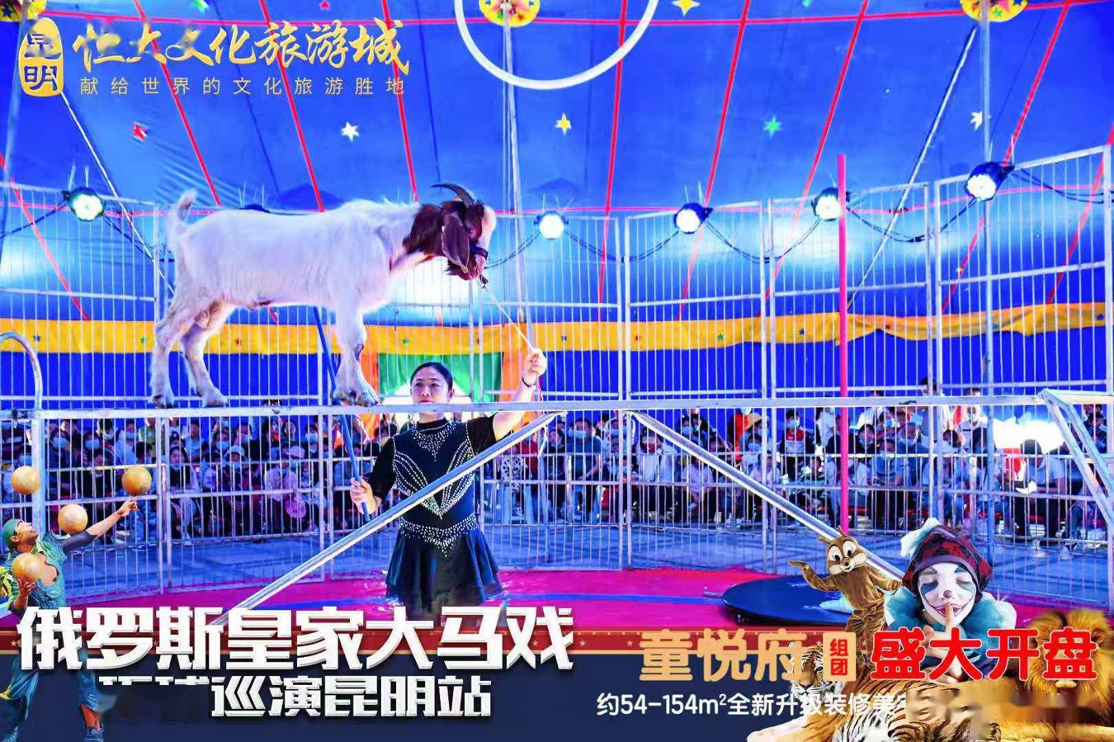 昆明十大游乐园2026年本年度热度口碑双榜对比 昆明十大游乐园2026年本年度热度口碑双榜对比