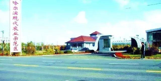 哈尔滨十大采摘园2026年本年度热度口碑双榜对比 哈尔滨十大采摘园2026年本年度热度口碑双榜对比