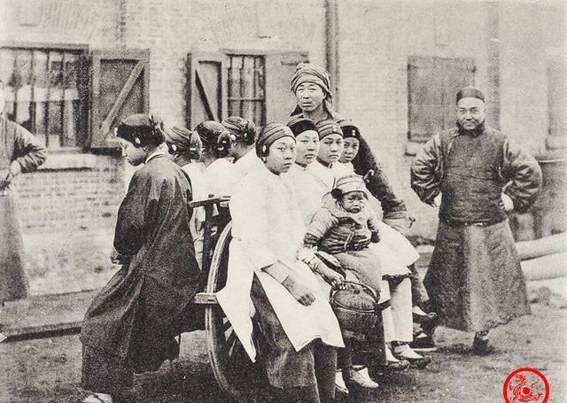 清末四大奇案2026年本年度热度口碑双榜对比