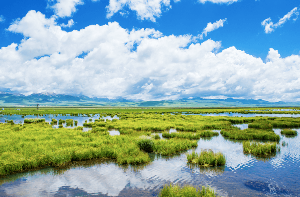 中卫八大最美景点2026年本年度热度口碑双榜对比