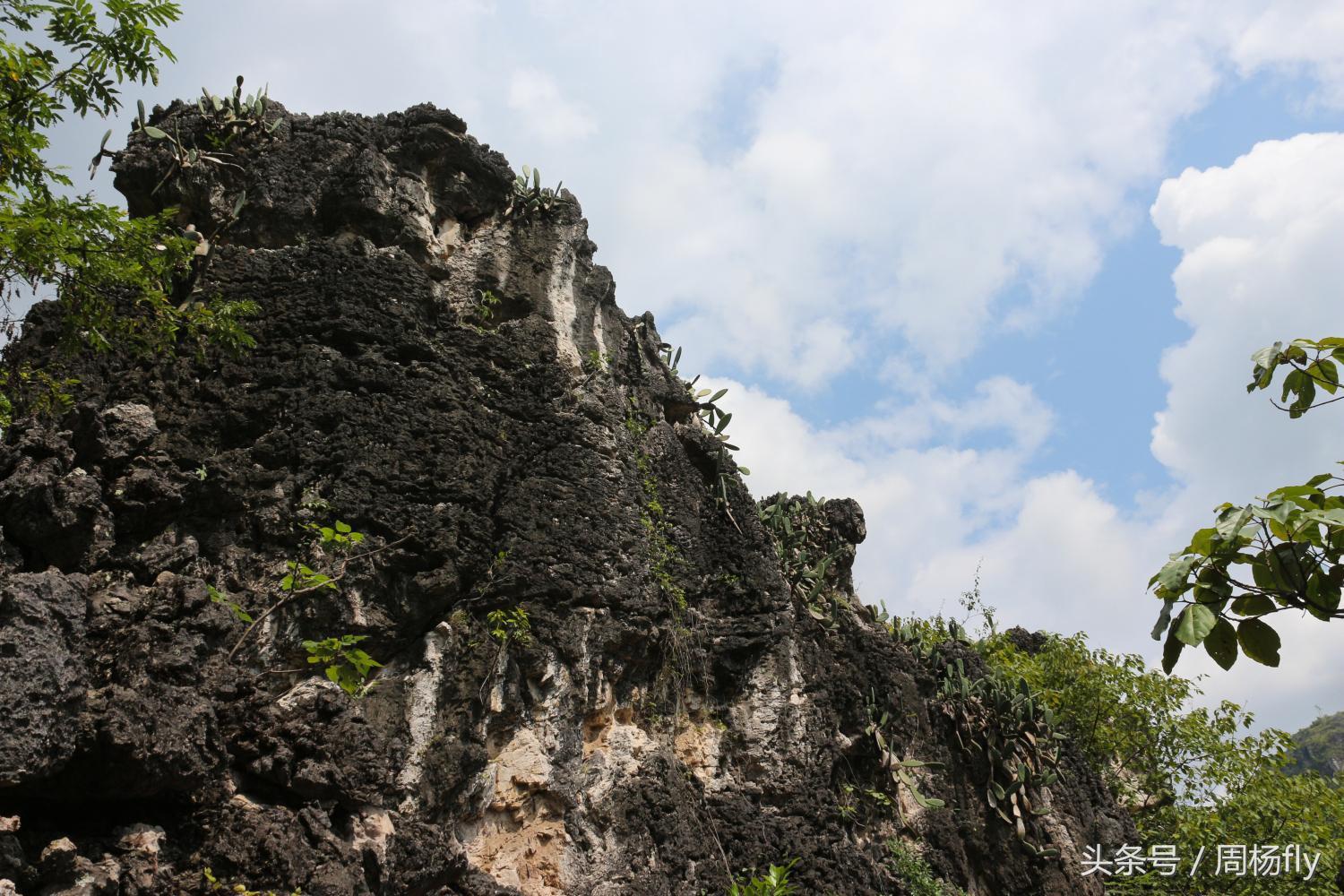 黄果树瀑布景区十大特产2026年本年度热度口碑双榜对比 黄果树瀑布景区十大特产2026年本年度热度口碑双榜对比