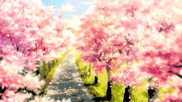 宁波十大赏花胜地2026年本年度热度口碑双榜对比