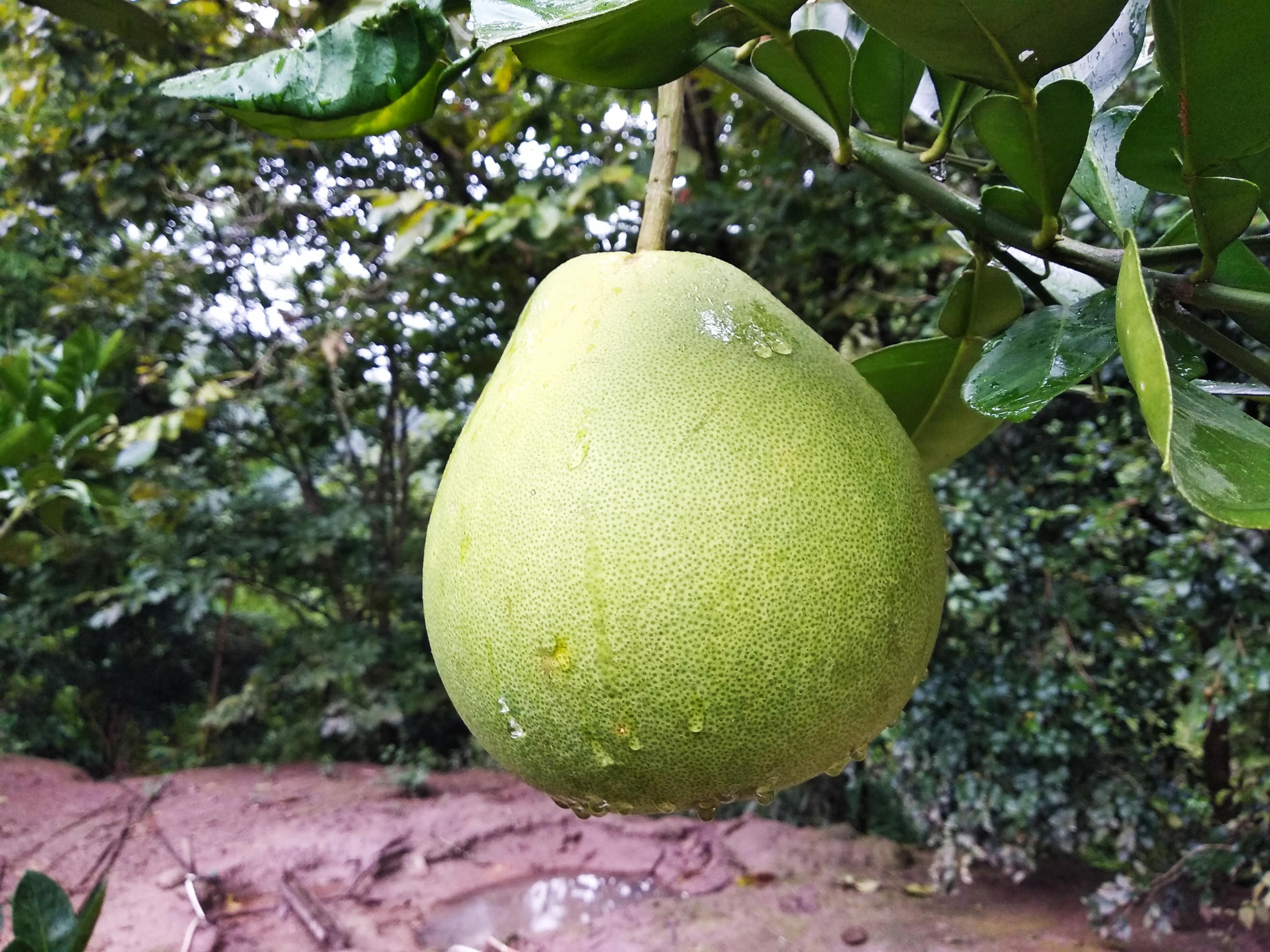 浙江十大中秋旅游好去处2026年本年度热度口碑双榜对比